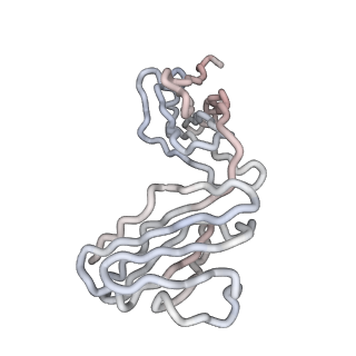 30479_7cw2_T_v1-2
Cryo-EM structure of Chikungunya virus in complex with Fab fragments of mAb CHK-263 (subregion around icosahedral 5-fold vertex)