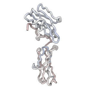 30479_7cw2_W_v1-2
Cryo-EM structure of Chikungunya virus in complex with Fab fragments of mAb CHK-263 (subregion around icosahedral 5-fold vertex)