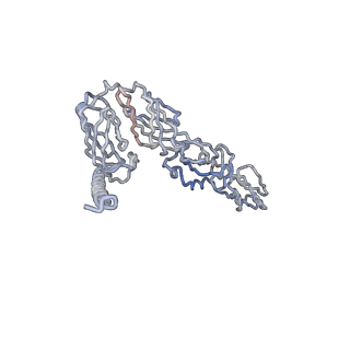 30479_7cw2_a_v1-1
Cryo-EM structure of Chikungunya virus in complex with Fab fragments of mAb CHK-263 (subregion around icosahedral 5-fold vertex)