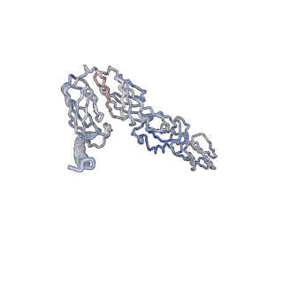 30479_7cw2_a_v1-2
Cryo-EM structure of Chikungunya virus in complex with Fab fragments of mAb CHK-263 (subregion around icosahedral 5-fold vertex)