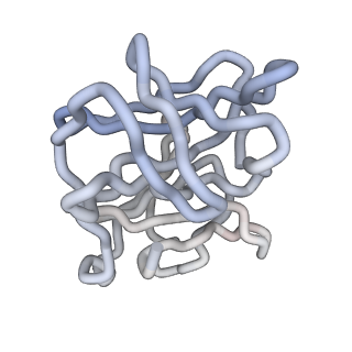 30479_7cw2_c_v1-2
Cryo-EM structure of Chikungunya virus in complex with Fab fragments of mAb CHK-263 (subregion around icosahedral 5-fold vertex)