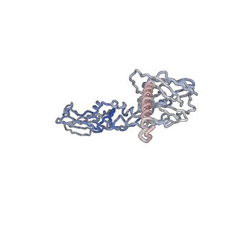30479_7cw2_d_v1-1
Cryo-EM structure of Chikungunya virus in complex with Fab fragments of mAb CHK-263 (subregion around icosahedral 5-fold vertex)
