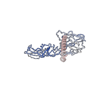 30479_7cw2_d_v1-2
Cryo-EM structure of Chikungunya virus in complex with Fab fragments of mAb CHK-263 (subregion around icosahedral 5-fold vertex)