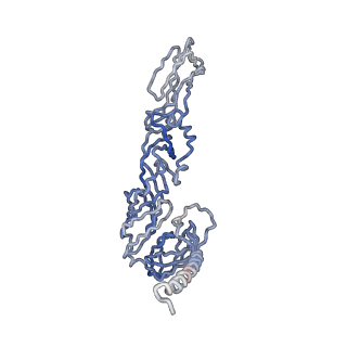 30479_7cw2_g_v1-1
Cryo-EM structure of Chikungunya virus in complex with Fab fragments of mAb CHK-263 (subregion around icosahedral 5-fold vertex)