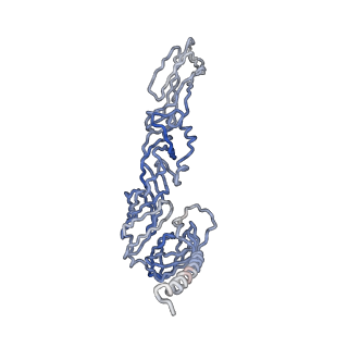 30479_7cw2_g_v1-2
Cryo-EM structure of Chikungunya virus in complex with Fab fragments of mAb CHK-263 (subregion around icosahedral 5-fold vertex)