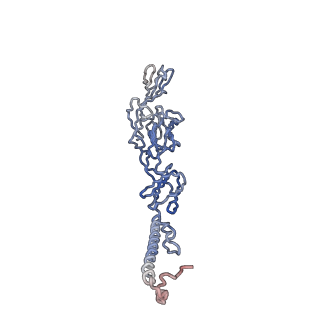 30479_7cw2_h_v1-1
Cryo-EM structure of Chikungunya virus in complex with Fab fragments of mAb CHK-263 (subregion around icosahedral 5-fold vertex)