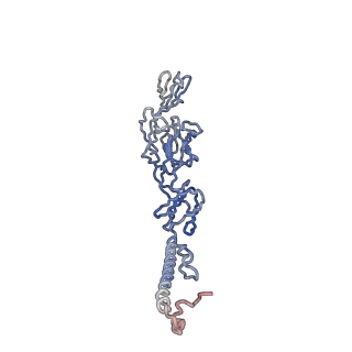 30479_7cw2_h_v1-2
Cryo-EM structure of Chikungunya virus in complex with Fab fragments of mAb CHK-263 (subregion around icosahedral 5-fold vertex)