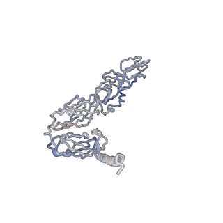 30479_7cw2_j_v1-1
Cryo-EM structure of Chikungunya virus in complex with Fab fragments of mAb CHK-263 (subregion around icosahedral 5-fold vertex)