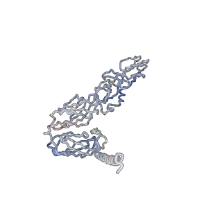 30479_7cw2_j_v1-2
Cryo-EM structure of Chikungunya virus in complex with Fab fragments of mAb CHK-263 (subregion around icosahedral 5-fold vertex)