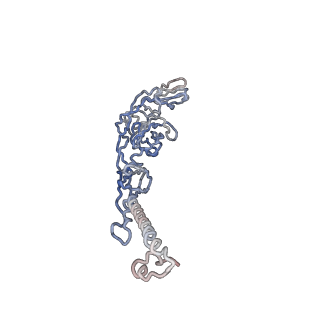 30479_7cw2_k_v1-1
Cryo-EM structure of Chikungunya virus in complex with Fab fragments of mAb CHK-263 (subregion around icosahedral 5-fold vertex)