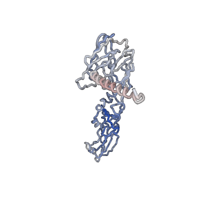 30479_7cw2_m_v1-1
Cryo-EM structure of Chikungunya virus in complex with Fab fragments of mAb CHK-263 (subregion around icosahedral 5-fold vertex)