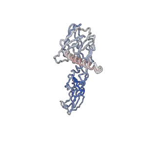 30479_7cw2_m_v1-2
Cryo-EM structure of Chikungunya virus in complex with Fab fragments of mAb CHK-263 (subregion around icosahedral 5-fold vertex)