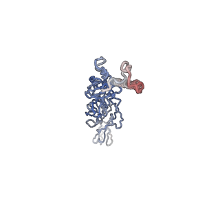30479_7cw2_n_v1-1
Cryo-EM structure of Chikungunya virus in complex with Fab fragments of mAb CHK-263 (subregion around icosahedral 5-fold vertex)
