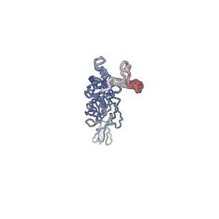 30479_7cw2_n_v1-2
Cryo-EM structure of Chikungunya virus in complex with Fab fragments of mAb CHK-263 (subregion around icosahedral 5-fold vertex)