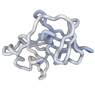 30479_7cw2_o_v1-2
Cryo-EM structure of Chikungunya virus in complex with Fab fragments of mAb CHK-263 (subregion around icosahedral 5-fold vertex)