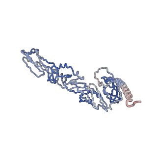 30479_7cw2_p_v1-1
Cryo-EM structure of Chikungunya virus in complex with Fab fragments of mAb CHK-263 (subregion around icosahedral 5-fold vertex)