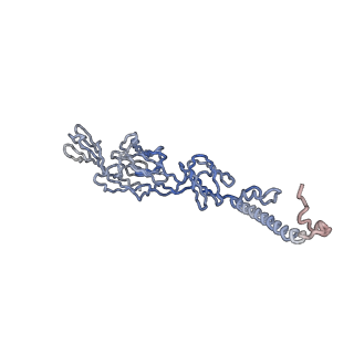 30479_7cw2_q_v1-1
Cryo-EM structure of Chikungunya virus in complex with Fab fragments of mAb CHK-263 (subregion around icosahedral 5-fold vertex)