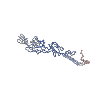 30479_7cw2_q_v1-2
Cryo-EM structure of Chikungunya virus in complex with Fab fragments of mAb CHK-263 (subregion around icosahedral 5-fold vertex)