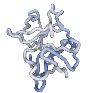 30479_7cw2_r_v1-2
Cryo-EM structure of Chikungunya virus in complex with Fab fragments of mAb CHK-263 (subregion around icosahedral 5-fold vertex)