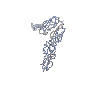 30479_7cw2_s_v1-2
Cryo-EM structure of Chikungunya virus in complex with Fab fragments of mAb CHK-263 (subregion around icosahedral 5-fold vertex)