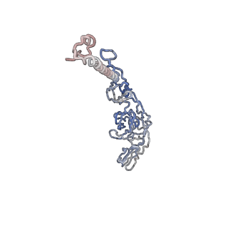30479_7cw2_t_v1-1
Cryo-EM structure of Chikungunya virus in complex with Fab fragments of mAb CHK-263 (subregion around icosahedral 5-fold vertex)