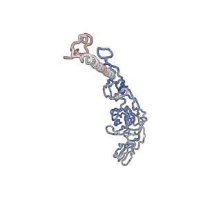 30479_7cw2_t_v1-2
Cryo-EM structure of Chikungunya virus in complex with Fab fragments of mAb CHK-263 (subregion around icosahedral 5-fold vertex)