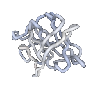 30479_7cw2_u_v1-2
Cryo-EM structure of Chikungunya virus in complex with Fab fragments of mAb CHK-263 (subregion around icosahedral 5-fold vertex)