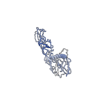30479_7cw2_v_v1-1
Cryo-EM structure of Chikungunya virus in complex with Fab fragments of mAb CHK-263 (subregion around icosahedral 5-fold vertex)