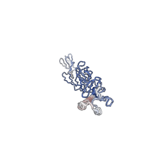 30479_7cw2_w_v1-1
Cryo-EM structure of Chikungunya virus in complex with Fab fragments of mAb CHK-263 (subregion around icosahedral 5-fold vertex)