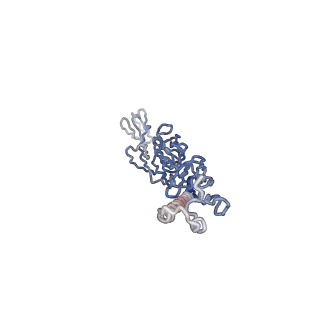 30479_7cw2_w_v1-2
Cryo-EM structure of Chikungunya virus in complex with Fab fragments of mAb CHK-263 (subregion around icosahedral 5-fold vertex)