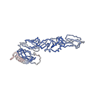 30479_7cw2_y_v1-2
Cryo-EM structure of Chikungunya virus in complex with Fab fragments of mAb CHK-263 (subregion around icosahedral 5-fold vertex)