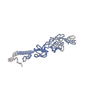 30479_7cw2_z_v1-1
Cryo-EM structure of Chikungunya virus in complex with Fab fragments of mAb CHK-263 (subregion around icosahedral 5-fold vertex)