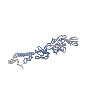 30479_7cw2_z_v1-2
Cryo-EM structure of Chikungunya virus in complex with Fab fragments of mAb CHK-263 (subregion around icosahedral 5-fold vertex)