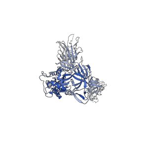 30482_7cwl_B_v1-0
SARS-CoV-2 spike protein and P17 fab complex with one RBD in close state