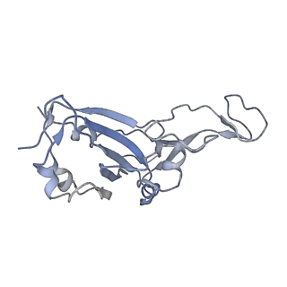 30485_7cwo_A_v1-1
SARS-CoV-2 spike protein RBD and P17 fab complex