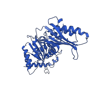 27032_8cx0_A_v1-2
Cryo-EM structure of human APOBEC3G/HIV-1 Vif/CBFbeta/ELOB/ELOC monomeric complex