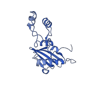 27032_8cx0_B_v1-2
Cryo-EM structure of human APOBEC3G/HIV-1 Vif/CBFbeta/ELOB/ELOC monomeric complex