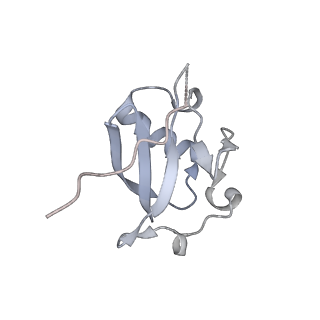 27032_8cx0_D_v1-2
Cryo-EM structure of human APOBEC3G/HIV-1 Vif/CBFbeta/ELOB/ELOC monomeric complex