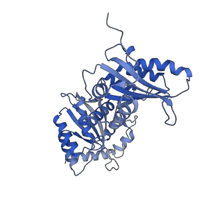 27033_8cx1_A_v1-2
Cryo-EM structure of human APOBEC3G/HIV-1 Vif/CBFbeta/ELOB/ELOC dimeric complex in State 1