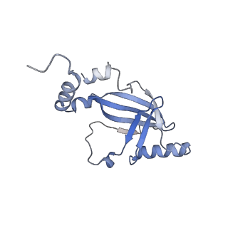 27033_8cx1_C_v1-2
Cryo-EM structure of human APOBEC3G/HIV-1 Vif/CBFbeta/ELOB/ELOC dimeric complex in State 1