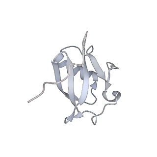 27033_8cx1_D_v1-2
Cryo-EM structure of human APOBEC3G/HIV-1 Vif/CBFbeta/ELOB/ELOC dimeric complex in State 1