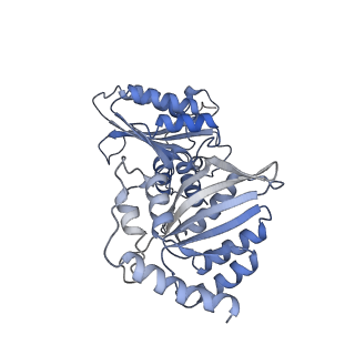 27033_8cx1_F_v1-2
Cryo-EM structure of human APOBEC3G/HIV-1 Vif/CBFbeta/ELOB/ELOC dimeric complex in State 1