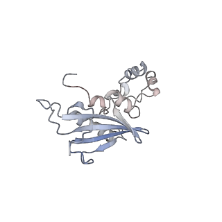27033_8cx1_G_v1-2
Cryo-EM structure of human APOBEC3G/HIV-1 Vif/CBFbeta/ELOB/ELOC dimeric complex in State 1