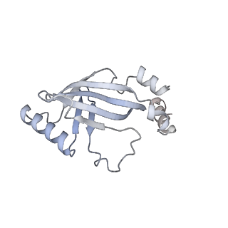 27033_8cx1_H_v1-2
Cryo-EM structure of human APOBEC3G/HIV-1 Vif/CBFbeta/ELOB/ELOC dimeric complex in State 1