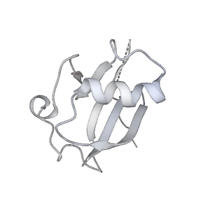 27033_8cx1_I_v1-2
Cryo-EM structure of human APOBEC3G/HIV-1 Vif/CBFbeta/ELOB/ELOC dimeric complex in State 1