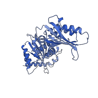 27034_8cx2_A_v1-2
Cryo-EM structure of human APOBEC3G/HIV-1 Vif/CBFbeta/ELOB/ELOC dimeric complex in State 2