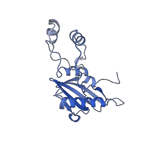 27034_8cx2_B_v1-2
Cryo-EM structure of human APOBEC3G/HIV-1 Vif/CBFbeta/ELOB/ELOC dimeric complex in State 2