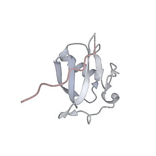27034_8cx2_D_v1-2
Cryo-EM structure of human APOBEC3G/HIV-1 Vif/CBFbeta/ELOB/ELOC dimeric complex in State 2