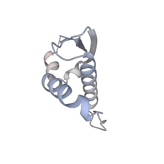 27034_8cx2_E_v1-2
Cryo-EM structure of human APOBEC3G/HIV-1 Vif/CBFbeta/ELOB/ELOC dimeric complex in State 2