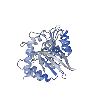 27034_8cx2_F_v1-2
Cryo-EM structure of human APOBEC3G/HIV-1 Vif/CBFbeta/ELOB/ELOC dimeric complex in State 2